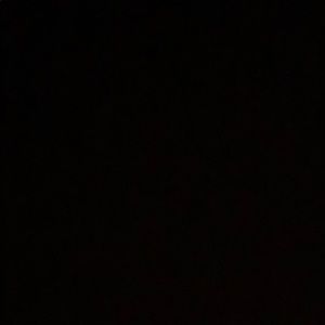 Meet your Posher, Max